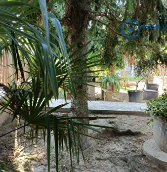Foto annuncio 50