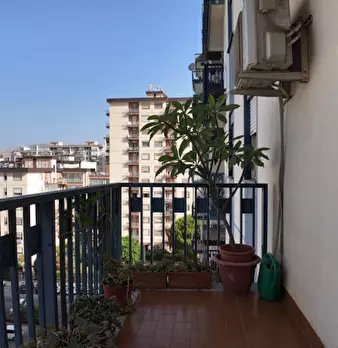 Foto annuncio 7