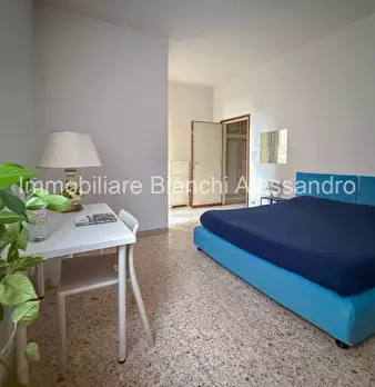 Foto annuncio 12