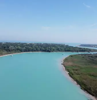 Foto annuncio 31