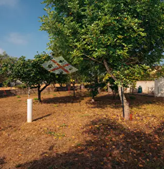 Foto annuncio 49