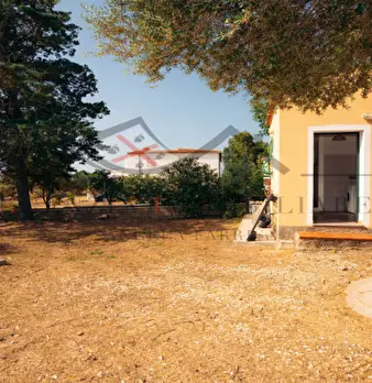 Foto annuncio 61