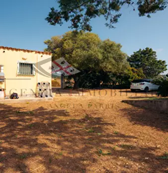 Foto annuncio 63
