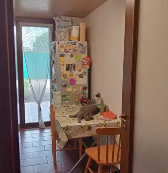 Foto annuncio 3