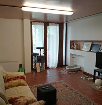 Foto annuncio 5
