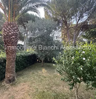 Foto annuncio 8
