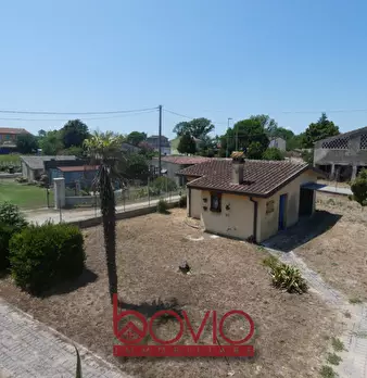 Foto annuncio 87