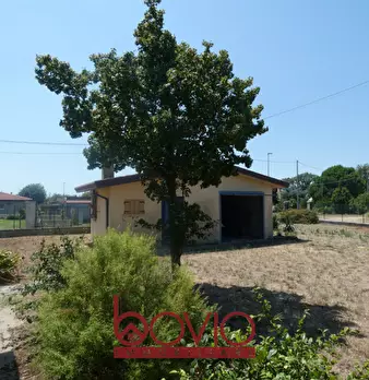 Foto annuncio 101