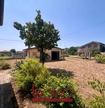 Foto annuncio 124