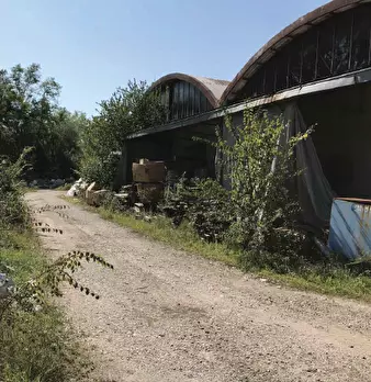 Foto annuncio 5