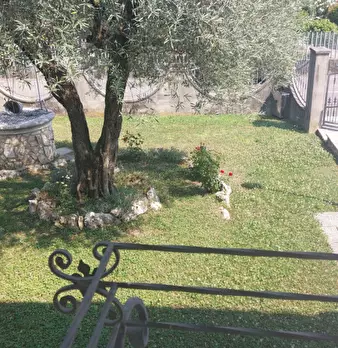 Foto annuncio 5