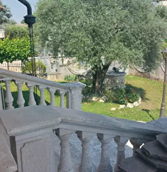Foto annuncio 6
