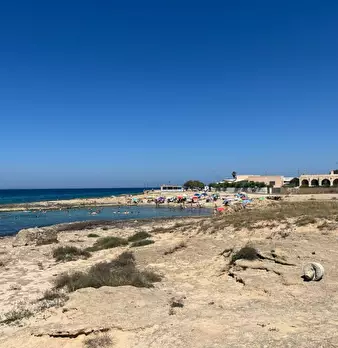 Foto annuncio 22