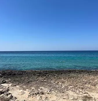 Foto annuncio 46