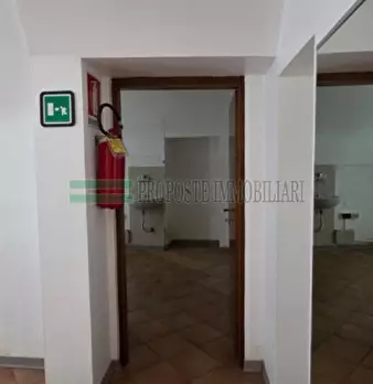 Foto annuncio 13