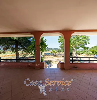 Foto annuncio 14