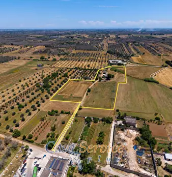 Foto annuncio 19