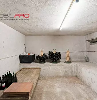 Foto annuncio 37