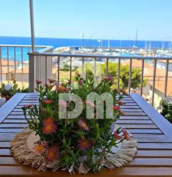 Foto annuncio 11