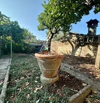 Foto annuncio 20