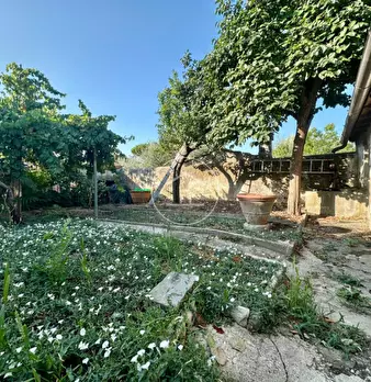 Foto annuncio 21