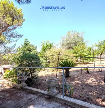 Foto annuncio 10