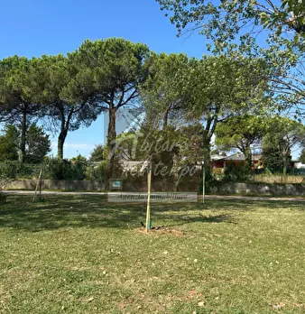 Foto annuncio 4