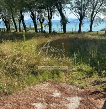 Foto annuncio 11