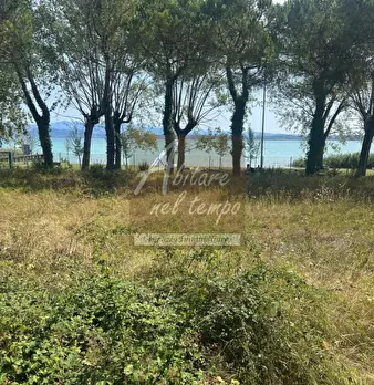 Foto annuncio 29