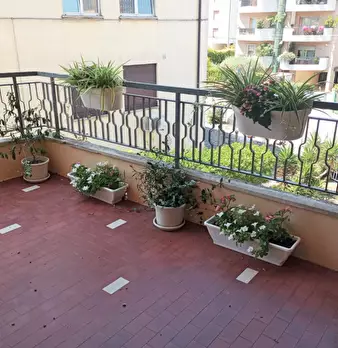 Foto annuncio 6