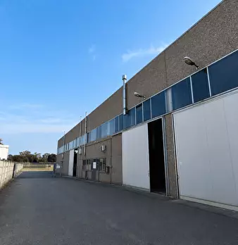 Foto annuncio 9