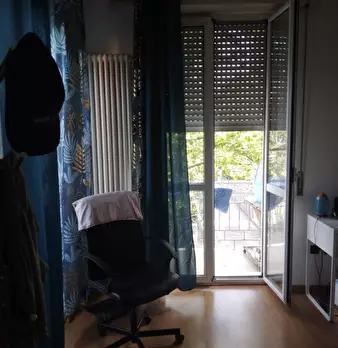 Foto annuncio 11