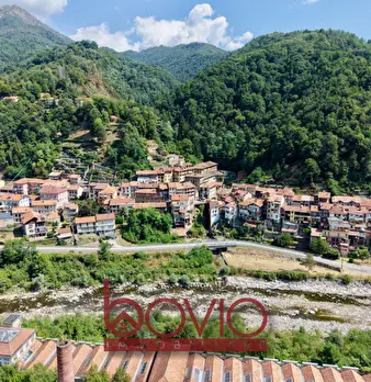 Foto annuncio 52