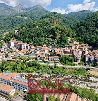 Foto annuncio 53
