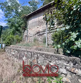 Foto annuncio 87