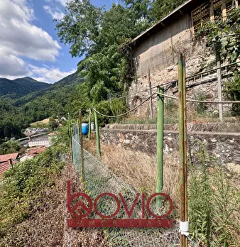 Foto annuncio 93