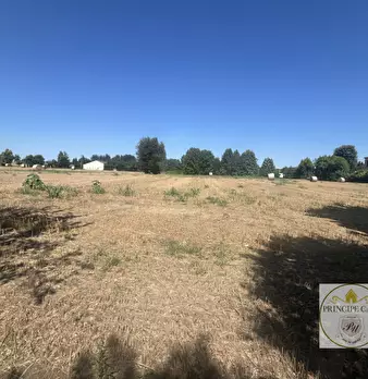 Foto annuncio 41
