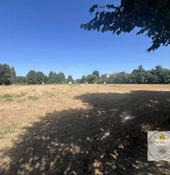 Foto annuncio 42