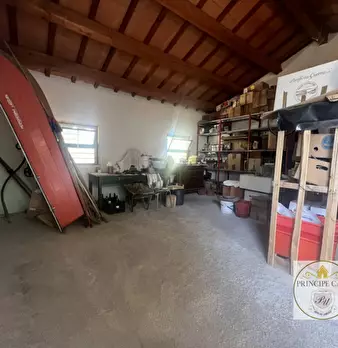 Foto annuncio 58