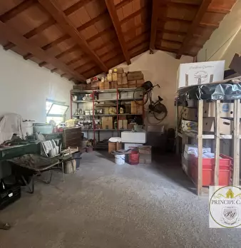 Foto annuncio 59