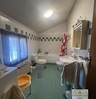 Foto annuncio 83