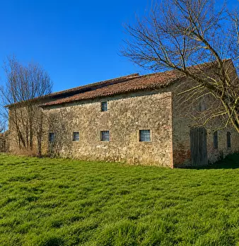 Foto annuncio 7
