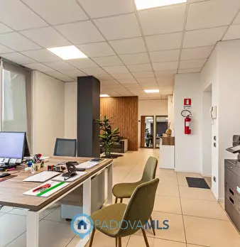Foto annuncio 18