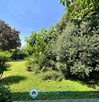Foto annuncio 16