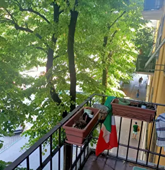 Foto annuncio 11