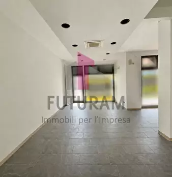 Foto annuncio 11