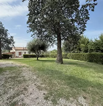 Foto annuncio 20