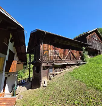 Foto annuncio 1