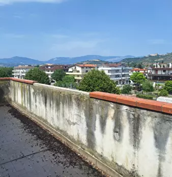 Foto annuncio 7