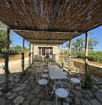 Foto annuncio 3